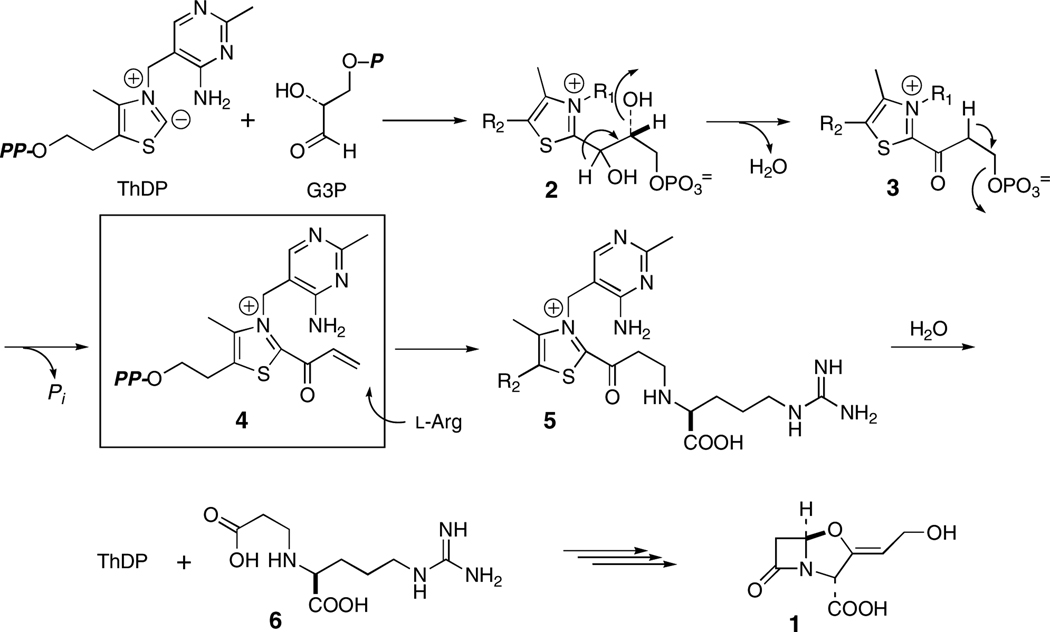 Scheme 1