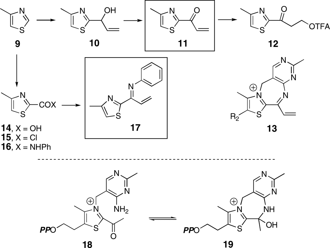 Scheme 2