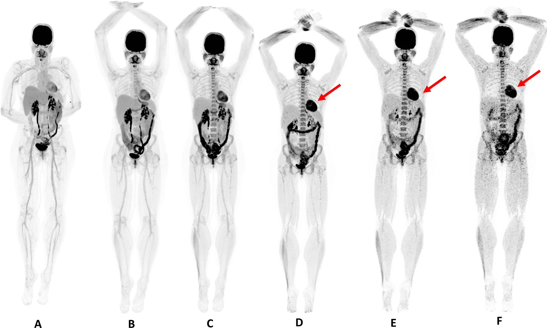 Figure 2: