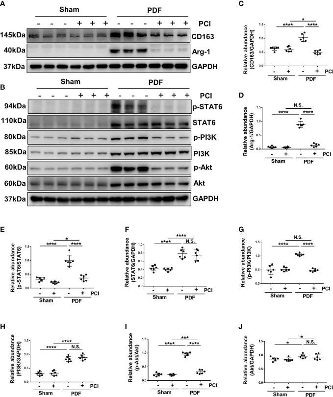 Figure 6