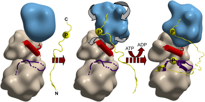 Figure 7