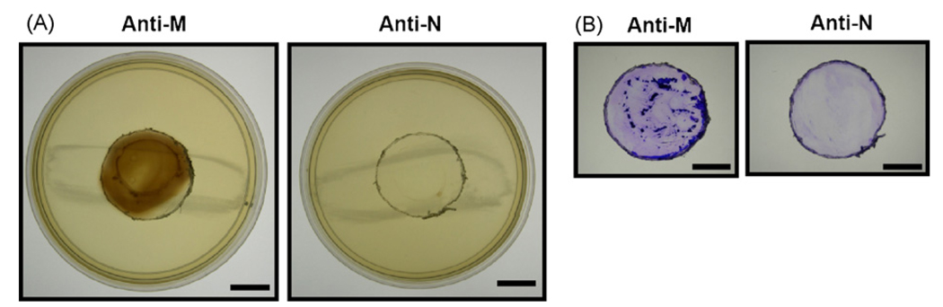 Fig. 5