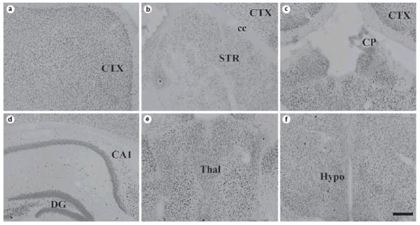 Fig. 11