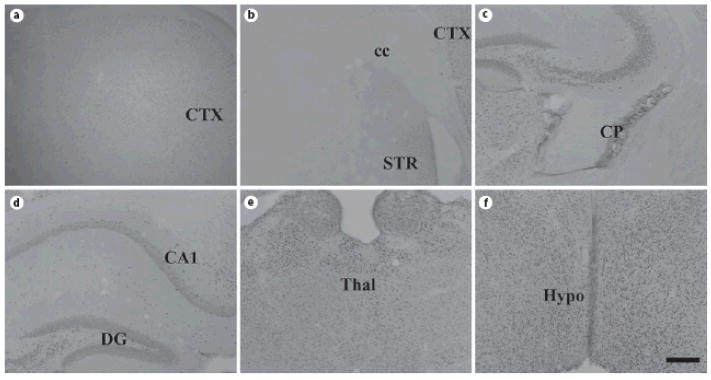 Fig. 10