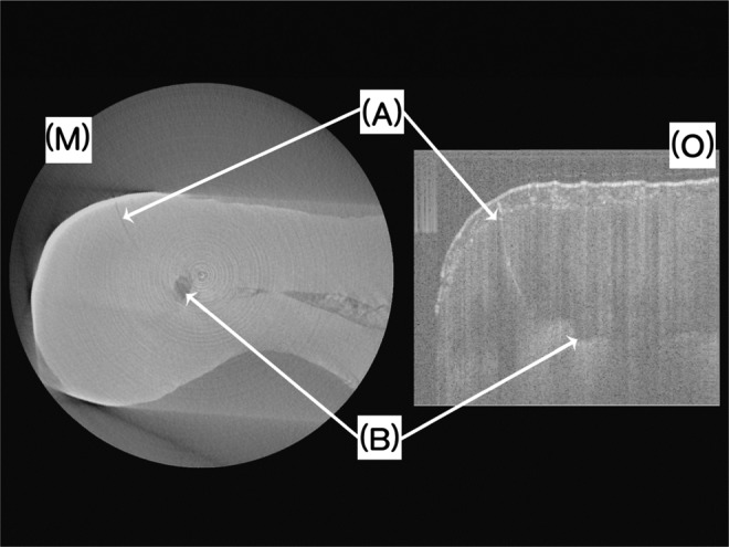 FIG. 2.