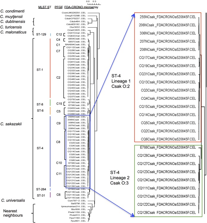 FIG 3