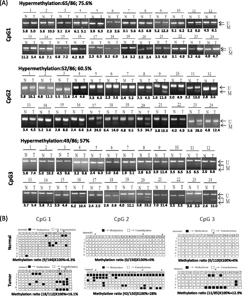 Fig. 5