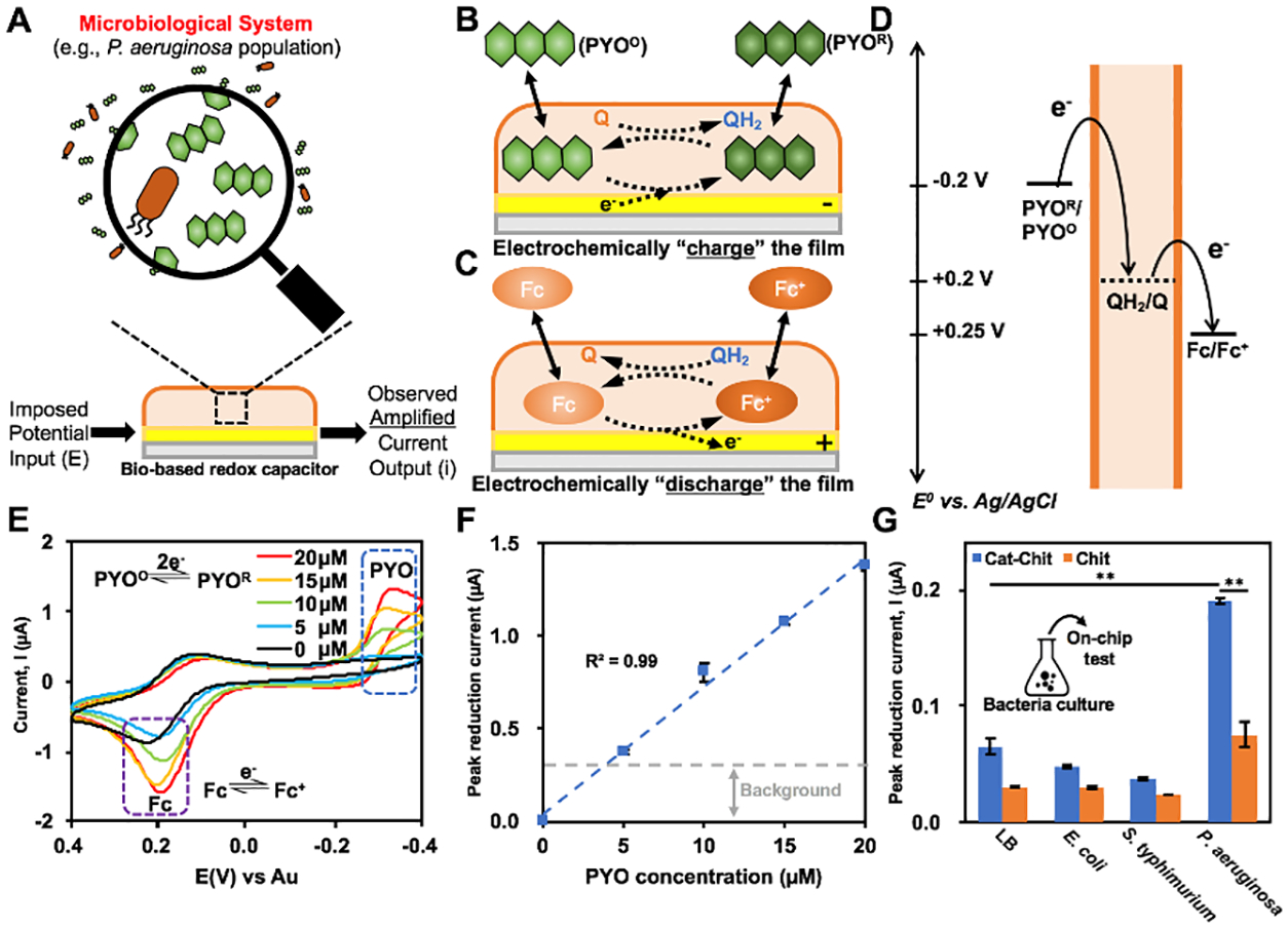 Figure 2: