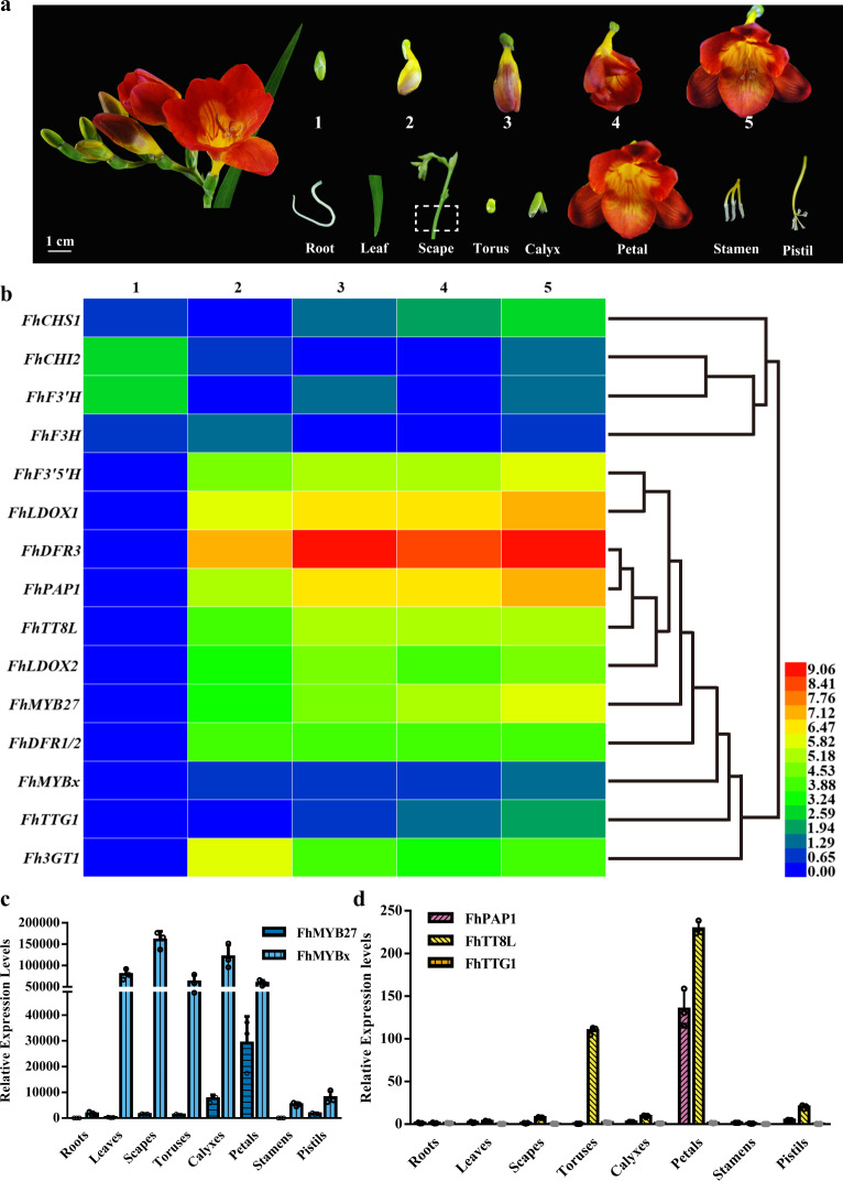 Fig. 2