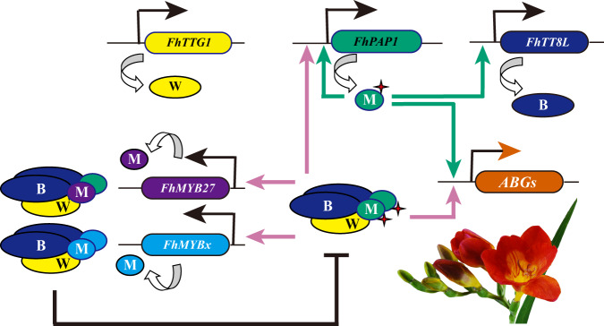 Fig. 7