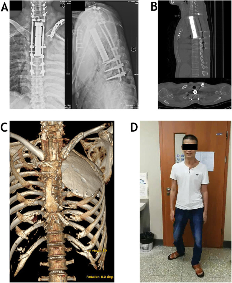 Fig. 6