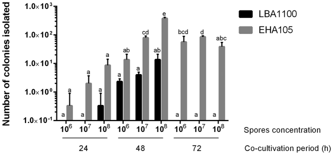 Figure 2 -