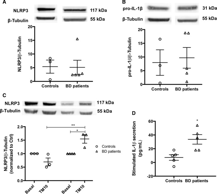 Fig. 11