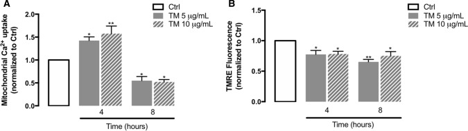 Fig.7