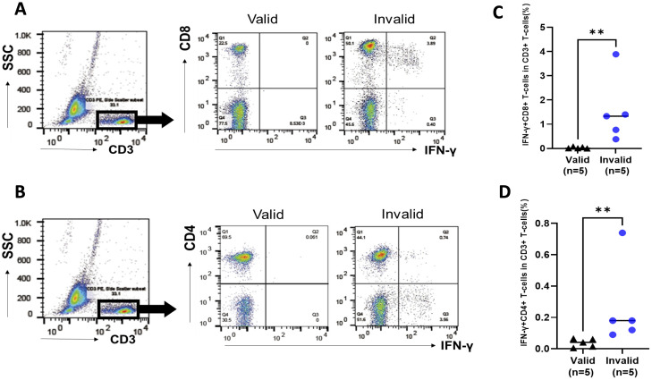 Figure 3