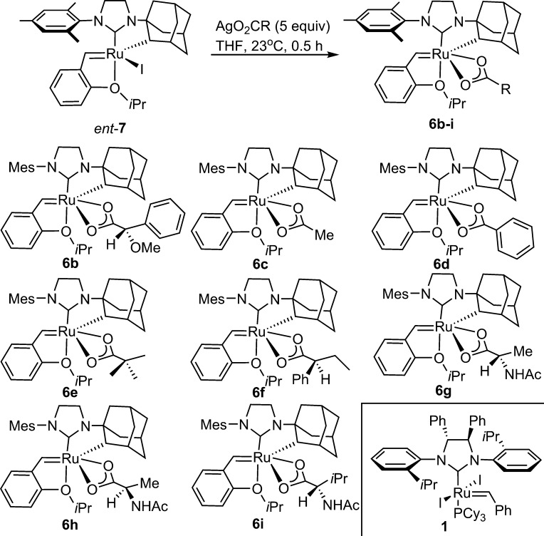 Scheme 5