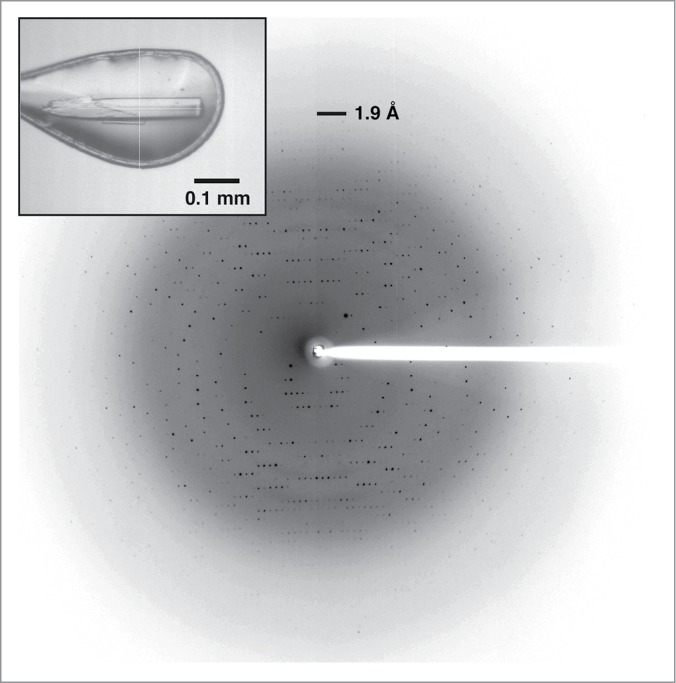 Figure 3.