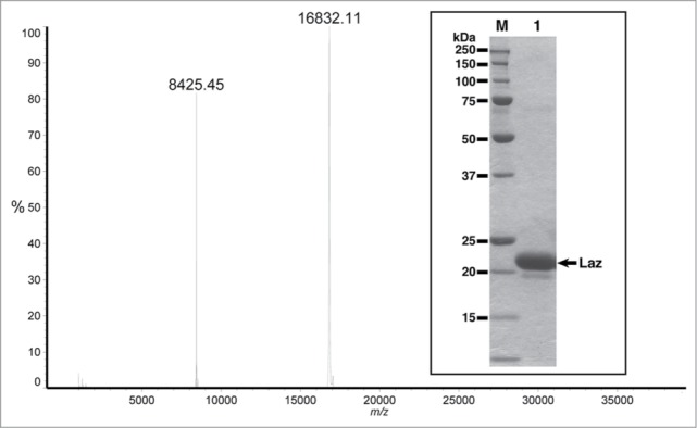 Figure 2.