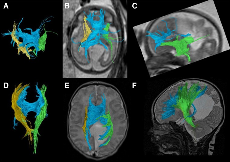 Fig. 7