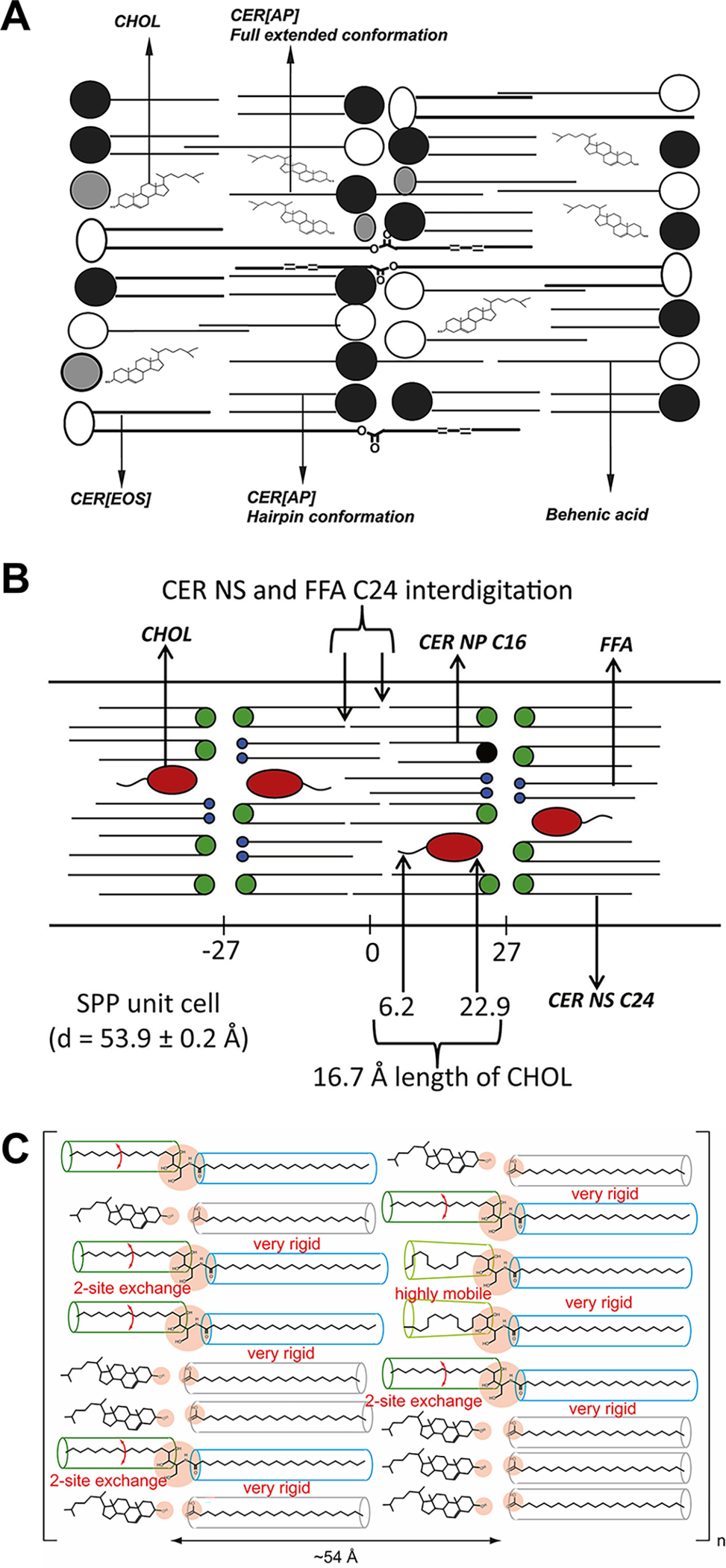 Figure 10.