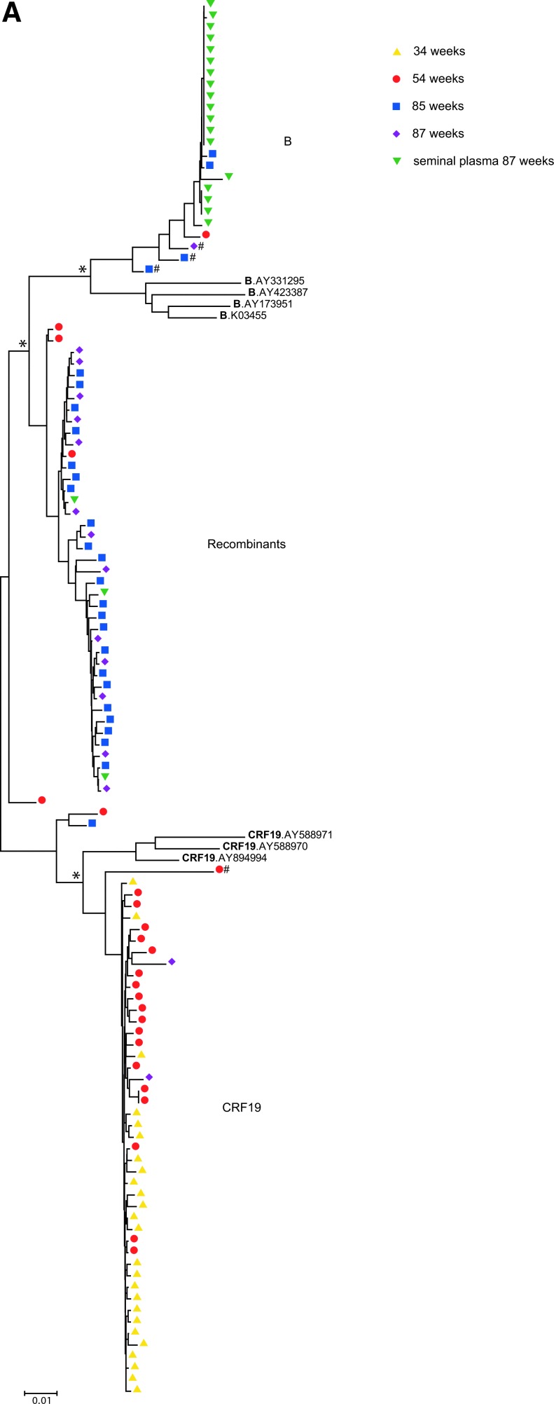 FIG. 3.