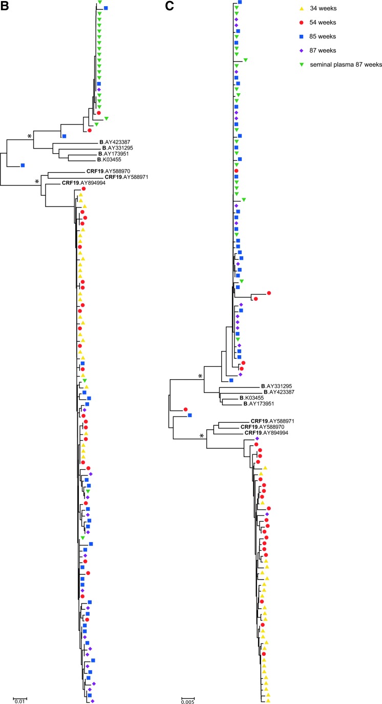 FIG. 3.