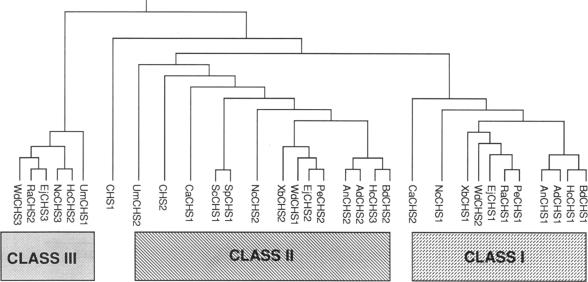 graphic file with name pnas01076-0077-a.jpg