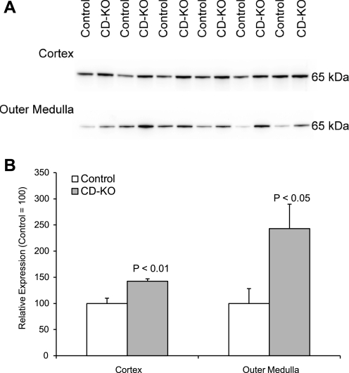 Fig. 8.