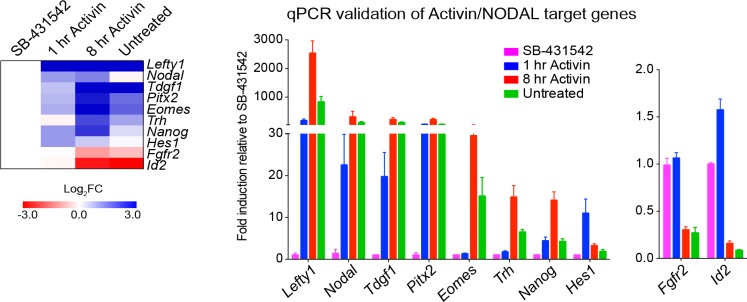 Figure 1—figure supplement 3.