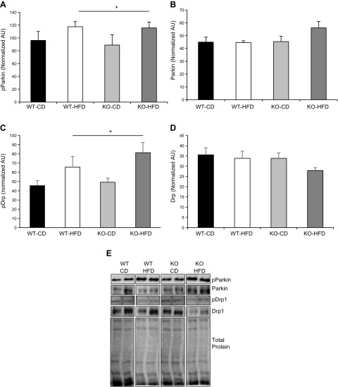 Figure 11.