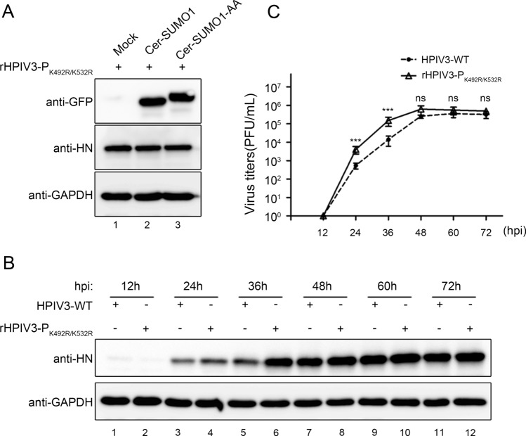 Fig. 7