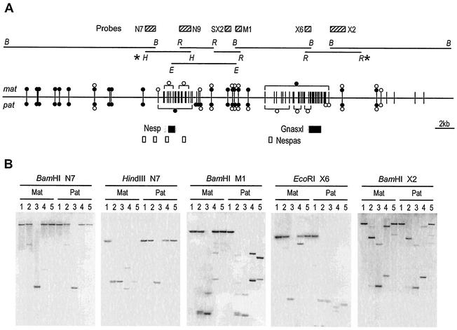 FIG. 1.