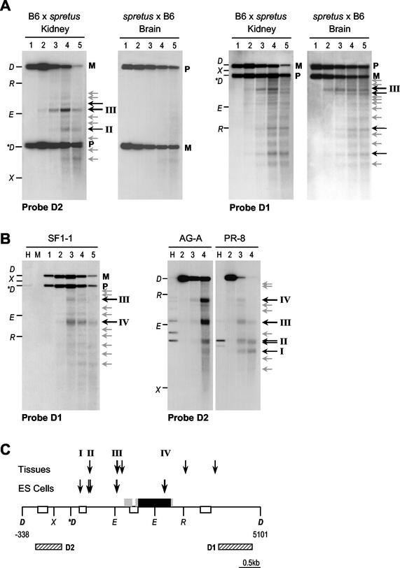 FIG. 4.