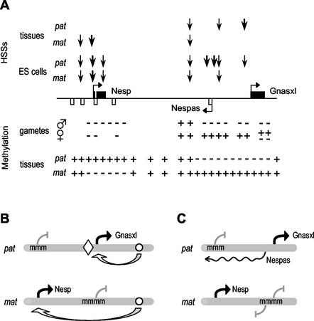 FIG. 7.