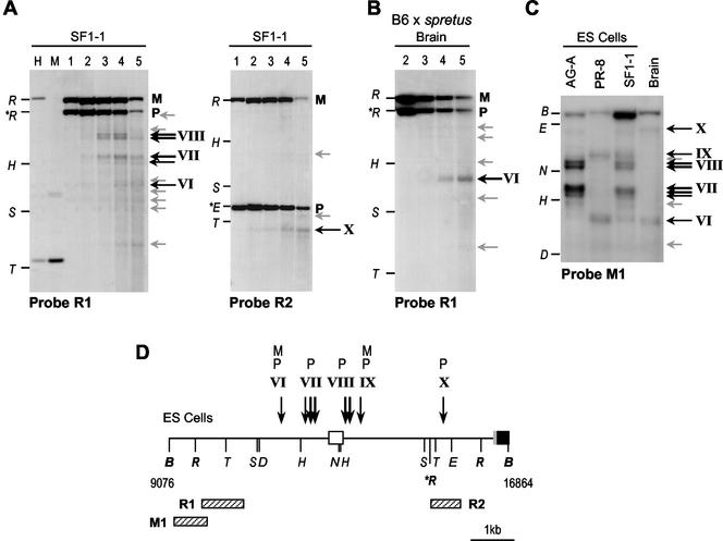 FIG. 6.