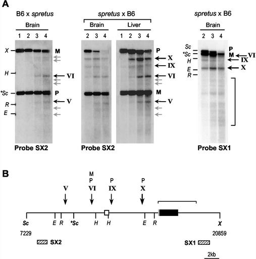 FIG. 5.