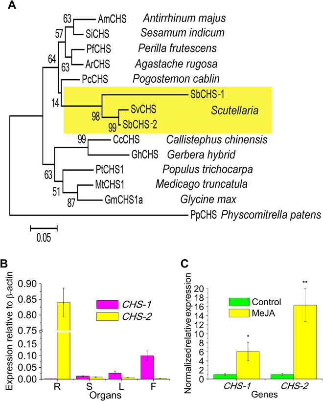 Fig. 6