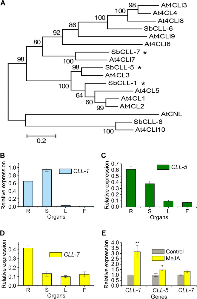 Fig. 4