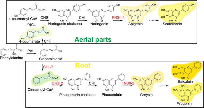 Fig. 7