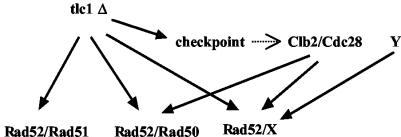 FIG. 10.