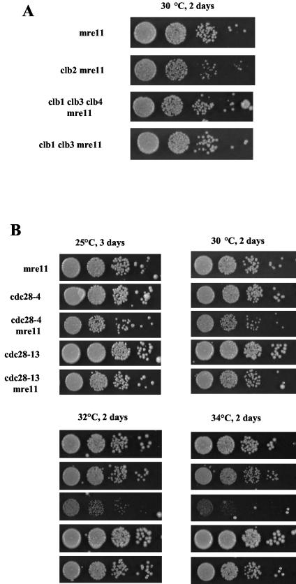 FIG. 7.