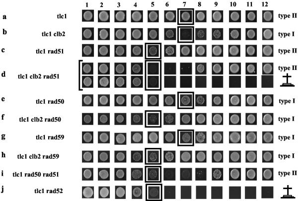 FIG. 4.