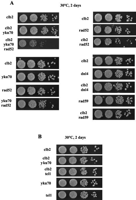 FIG. 9.