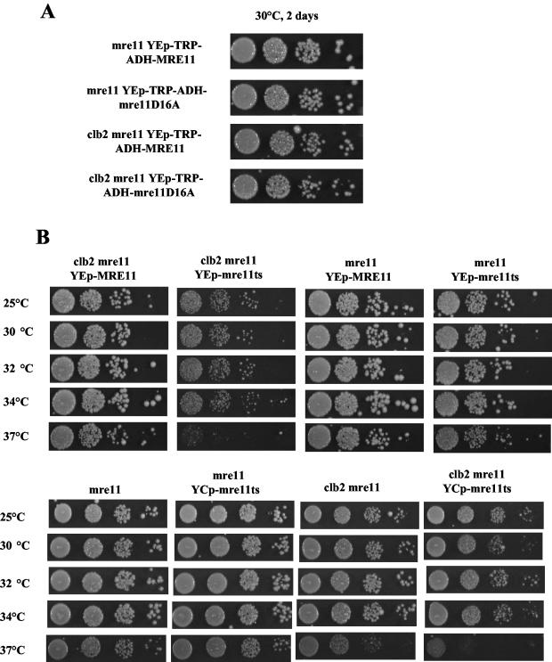 FIG. 8.