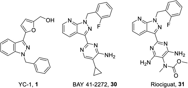 Fig. 8