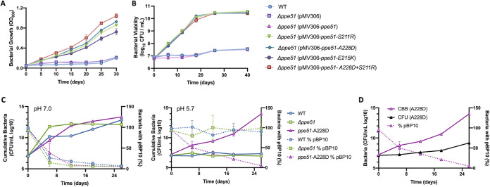 FIG 3