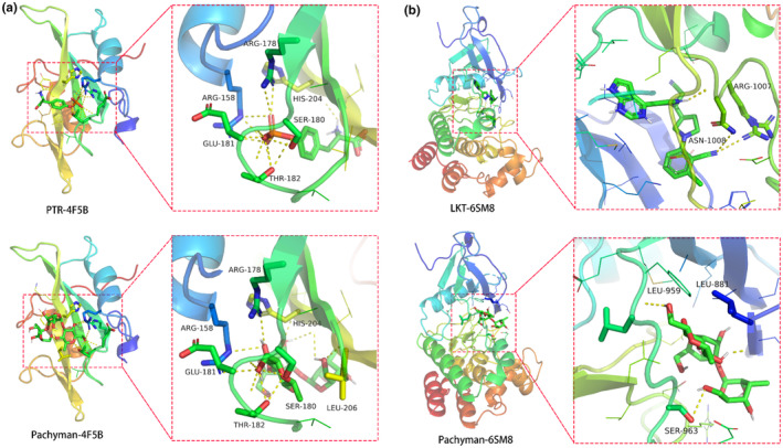 FIGURE 6