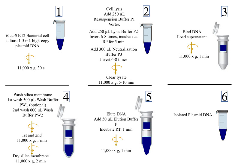 Figure 1.