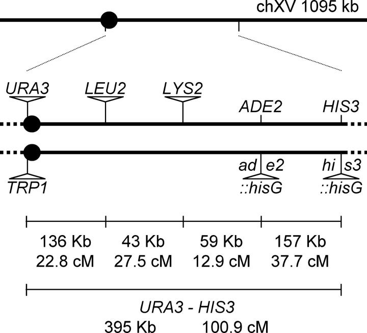 Figure 1.—