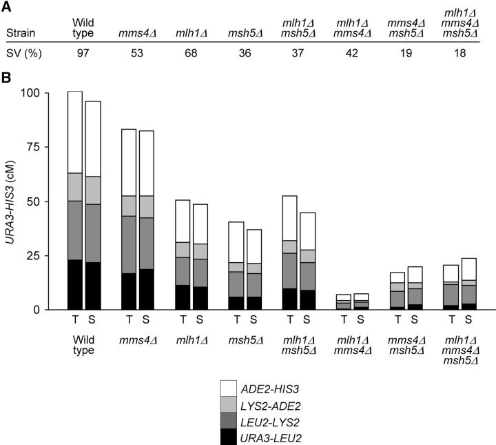 Figure 3.—